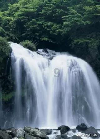 救援小袋熊